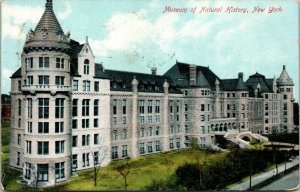 Vtg 1909 Museum of Natural History New York City NY Postcard