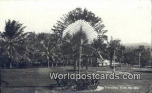 Real Photo Traveling Tree Malaya, Malaysia Unused 