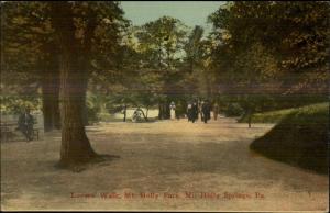Mt. Holly Springs PA Park Lovers Walk c1910 Postcard