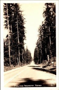 Real Photo Postcard A Western Washington Highway Pine Tree Lined~3699