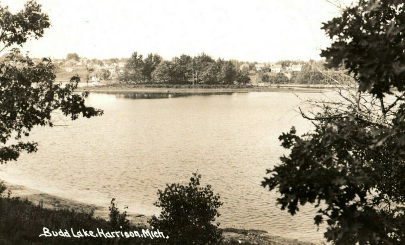 Vintage Bud Lake Harrison, MI RPPC Real Photo Postcard F87