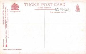 BR94603 a devon sunset painting postcard   uk