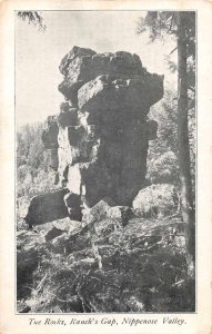 Nippenose Valley Pennsylvania Rauch's Gap Rocks Vintage Postcard AA8931