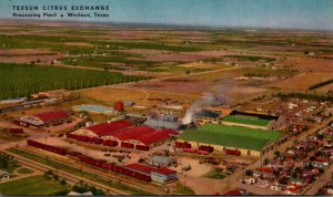 Texas Weslaco Texsun Citrus Exchage Processing Plant Home Of Texsun Grapefrui...