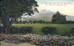 Old Gray Back, Mt San Bernardino - Redlands, CA