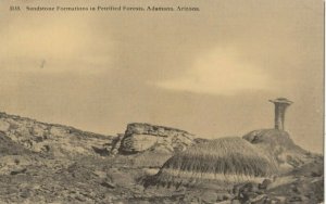 ADAMAAN, Arizona, 1910-30s; Petrified Forest #2