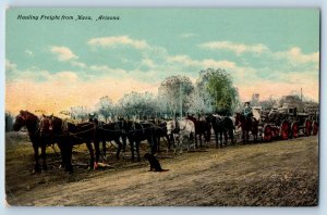 1910 Mesa Arizona Postcard Hauling Freight Horse Carriage Animals Farm Unposted