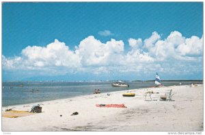 View of Beach, FT. DE SOTO PARK, Florida, PU-1979