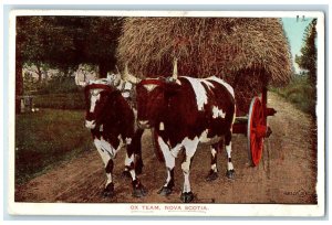 1939 Ox Team Barn Cart Nova Scotia Canada Posted Vintage Valentines Postcard