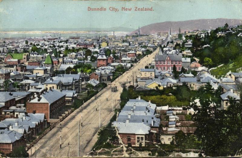 new zealand, DUNEDIN, Partial View (1910s)