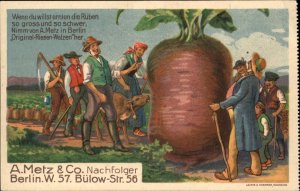 A. Metz & Co Fertilizer Advertising Exaggeration Giant Beets Farmers c1910 PC