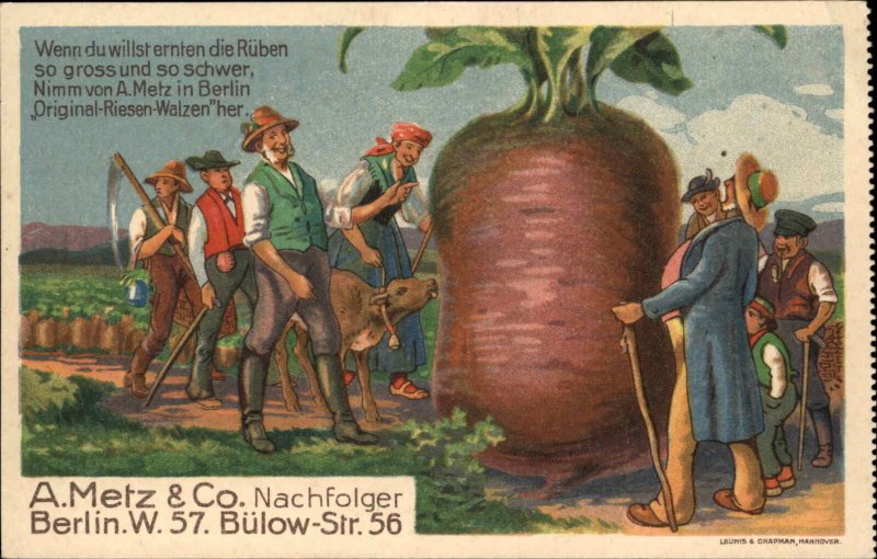 A. Metz & Co Fertilizer Advertising Exaggeration Giant Beets Farmers c1910 PC