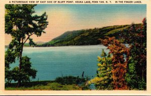 New York Penn Yan Keuka lake Picturesque View Of East Side Of Bluff Point 1946