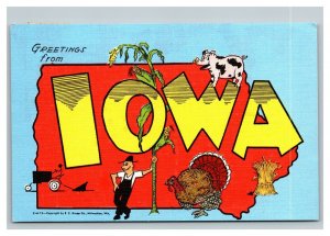 Vintage 1951 Postcard Greetings From Iowa - Turkey Pigs Farming Corn Wheat
