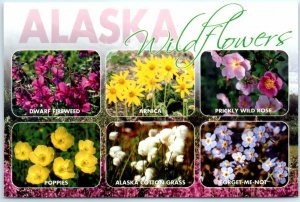 Postcard - Alaska Wildflowers