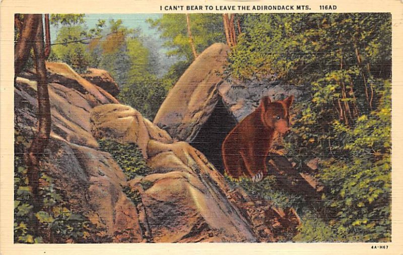 Can't Bear to Leave Adirondack Mountains, NY, USA Bear Unused 