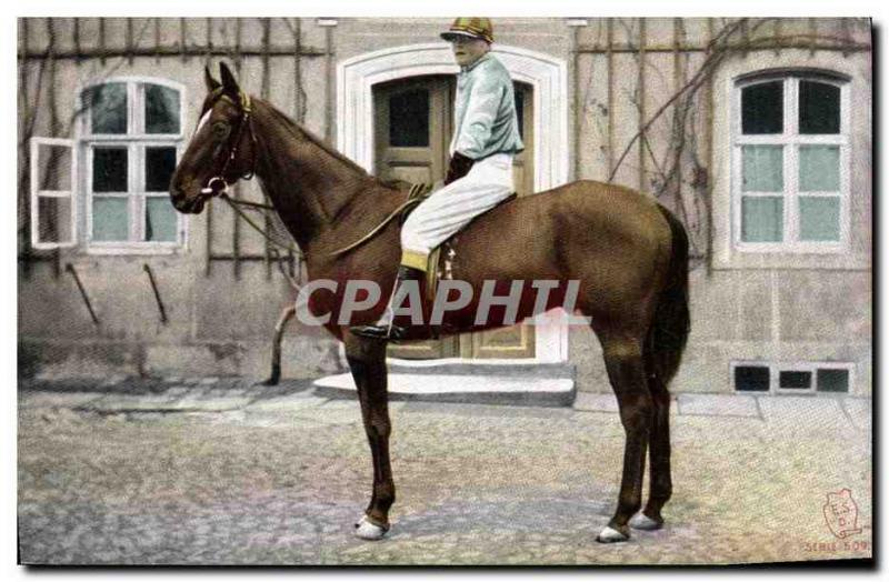 Old Postcard Horse Riding Equestrian