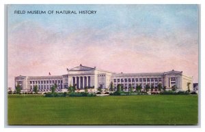 Field Museum of Natural History Century of Progress Chicago UNP DB Postcard G18