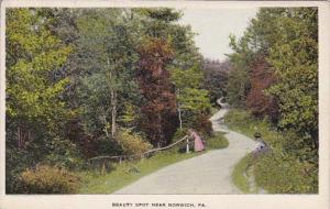 Pennsylvania Beauty Spot Near Norwich 1914