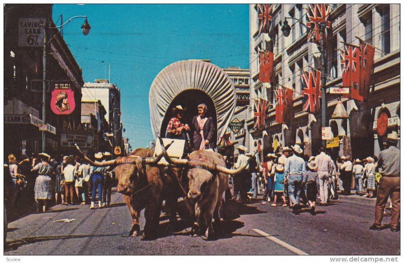 Stampede Week, Eighth Avenue, Covered Wagon & Team Of Oxen, Calgary, Alberta,...
