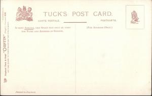 TUCK Oilette - Aldershot UK Cambridge Hospital c1910 Postcard
