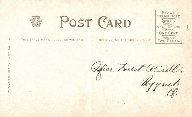 Vintage Postcard 1910 She Won't Heed Fond Command Conveys Love's Shortland 