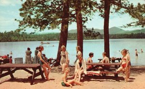 Vintage Postcard Beach Picnic Area White Lake State Park Tamworth New Hampshire