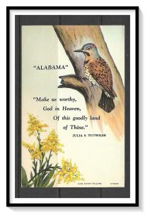Alabama State Bird & Flower - [AL-008]