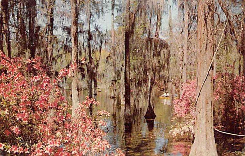 Cypress Gardens Berkeley County, South Carolina