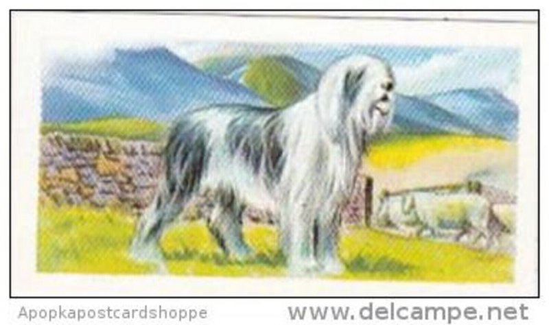 Priority Tea Trade Card I-Spy Pets No 4 Sheepdog