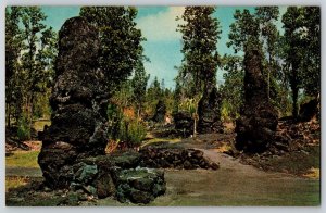 Postcard Hawaii - Lava Trees at Lava State Park - Island of Hawaii