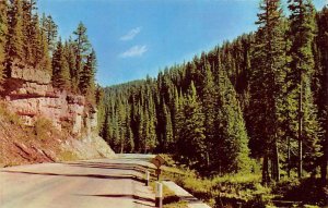 Highway US 85 Through scenic upper Spearfish Canyon Black Hills SD