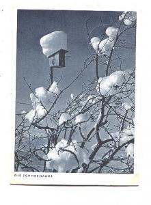 Snow on Bird House Roof, Die Schneehaube, Germany,