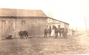 RPPC  Farmer With Horse Team  - Real Photo Postcard  c1917