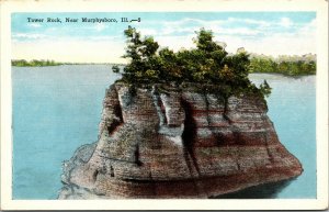 VTG 1920's Tower Rock Near Murphysboro Illinois IL Mississippi River Postcard 