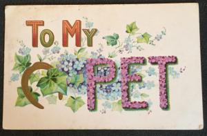 Vintage Postcard Used Embossed Horseshoe  Flowers “To My Pet.”  LB