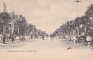 Bicycles On Ocean Boulevard Seabreeze Florida 1905 Rotograph