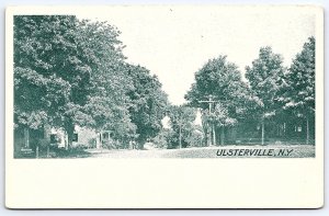 Ulsterville New York NY Scenic View Of Trees At Residential Houses Postcard