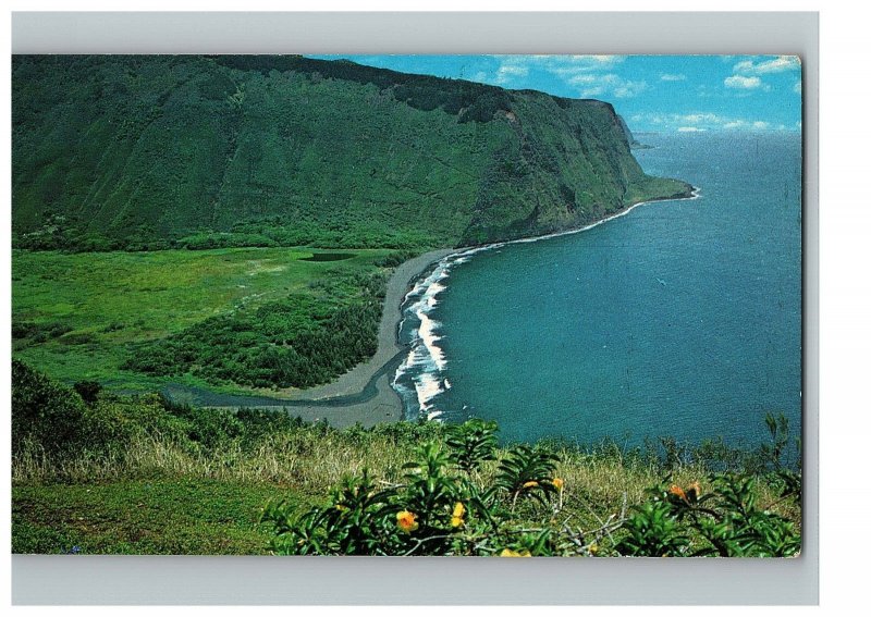 Waipio Valley Rugged Hamakua Coast Taro Farms Thrive Big Island Hawaii Postcard