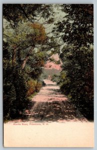 Woods Road  Franconia Notch  New Hampshire  Postcard  c1907