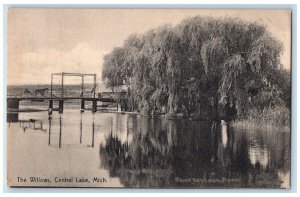 c1910 The Willows Central Lake Michigan MI Rotograph Co. Antique Postcard