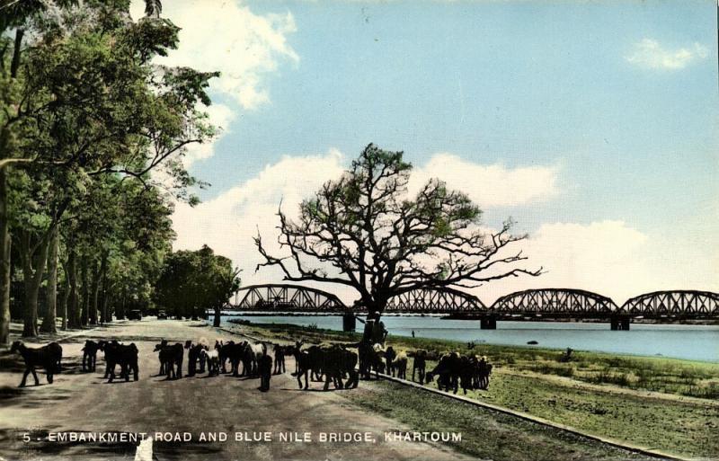 sudan, KHARTOUM, Embankment Road and Blue Nile Bridge (1966) RPPC