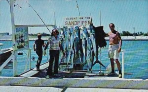 Fishing Catch On The Sandpiper Key West Florida