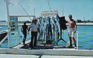 Fishing Catch On The Sandpiper Key West Florida