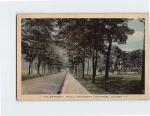 Postcard The Driveway McGill University Montreal Canada