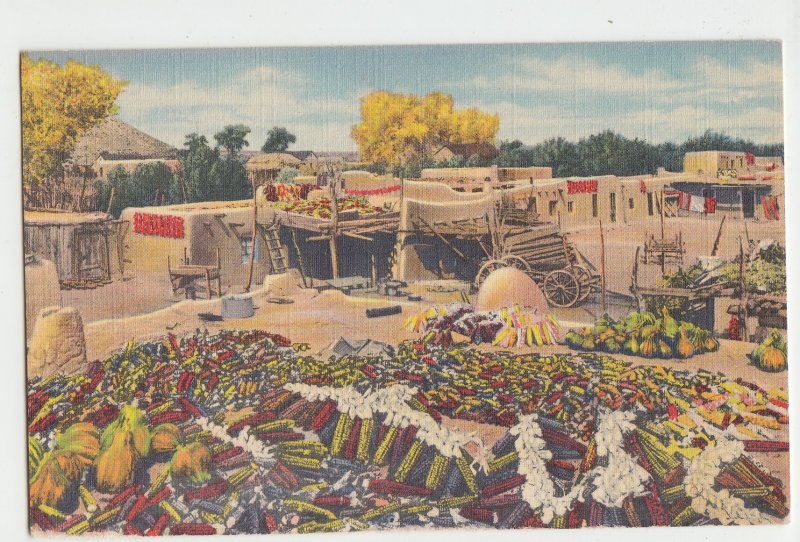 P2900 vintage postcard harvast time at santa clara indian pubelo new mexoco