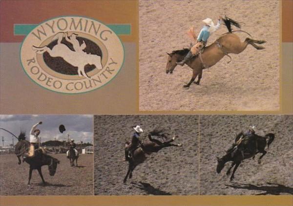 Wyoming Rodeo Country Bareback Bronco Riding