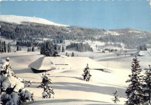 BR16132 Rousses Les Champs de Neige au pied de la Dole  France