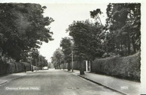 Yorkshire Postcard - Chestnut Avenue - Hessle - Real Photograph - Ref TZ8012