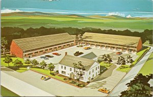 Shelburne Inn & Motel Burlington VT Vermont Unused Vintage Postcard F91